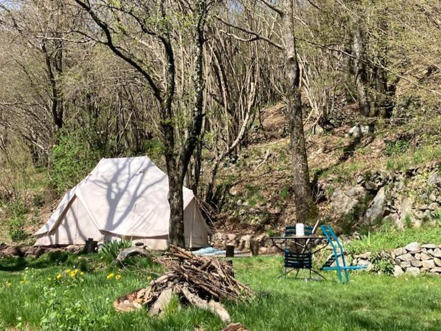 Grande Tente Tipi En Pleine Foret Burzet Εξωτερικό φωτογραφία